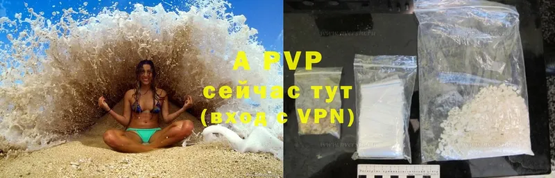 OMG tor  Ленинградская  Альфа ПВП СК КРИС 