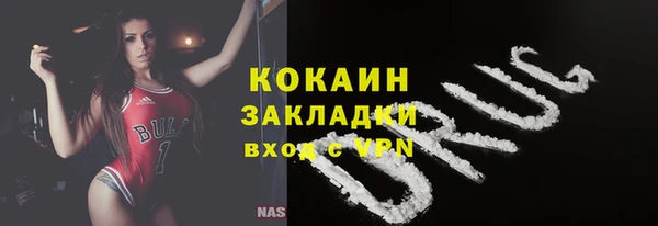 дмт Лиски